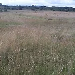 Swallows بيت للعطل