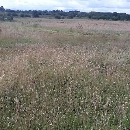Swallows Semesterbostad