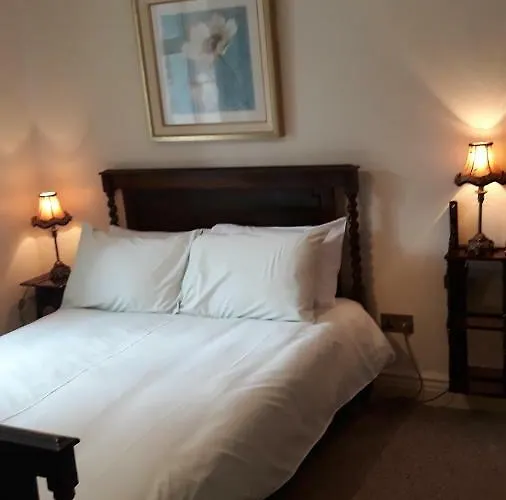 Swallows * Суинфорд