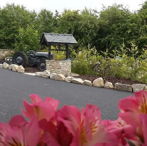 Swallows * Суинфорд