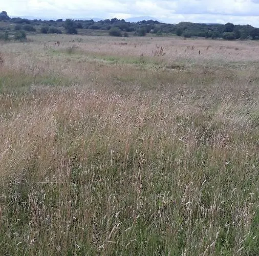 Swallows Дом отдыха